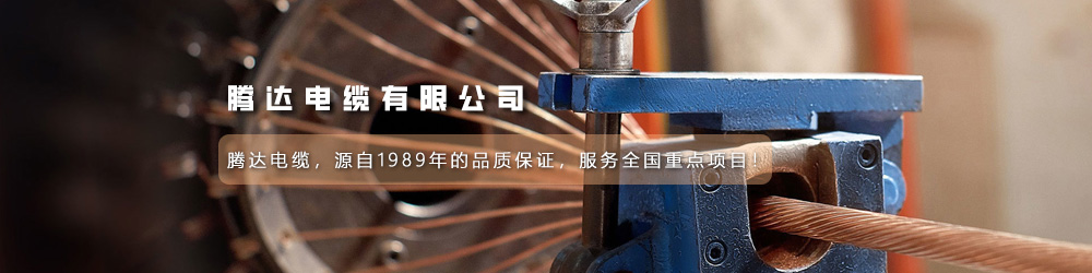 騰達(dá)電纜有限公司